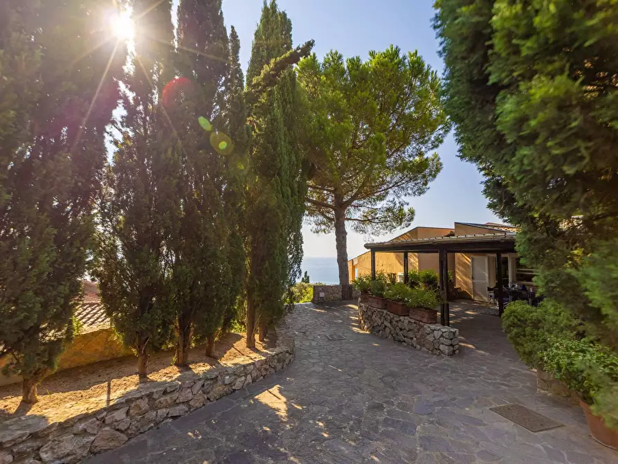Immagine 45 di Villa in affitto  in via panoramica a Monte Argentario