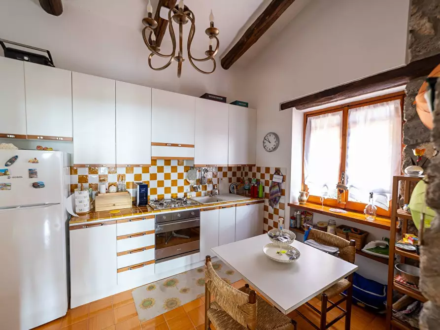 Immagine 13 di Villa in affitto  in via del lentisco a Orbetello