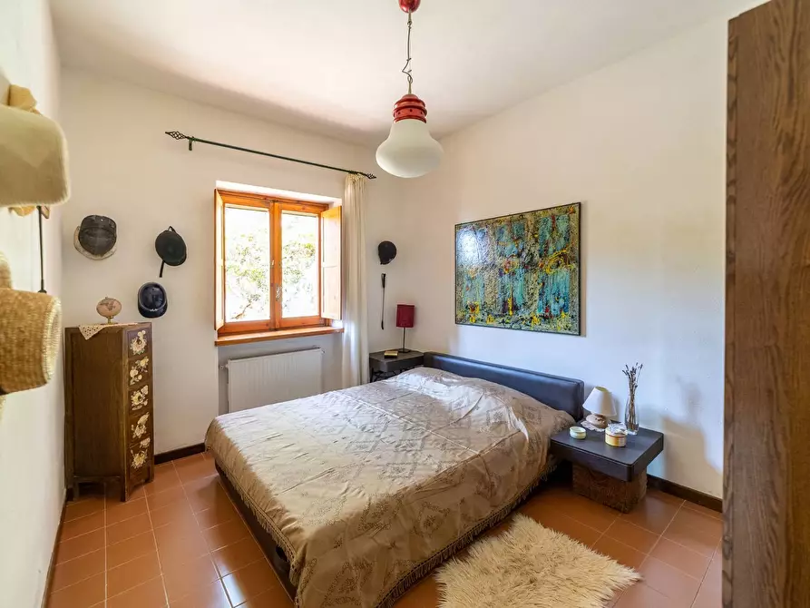 Immagine 17 di Villa in affitto  in via del lentisco a Orbetello