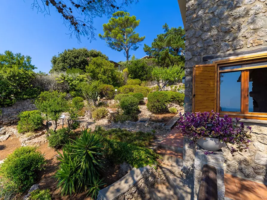 Immagine 29 di Villa in affitto  in via del lentisco a Orbetello