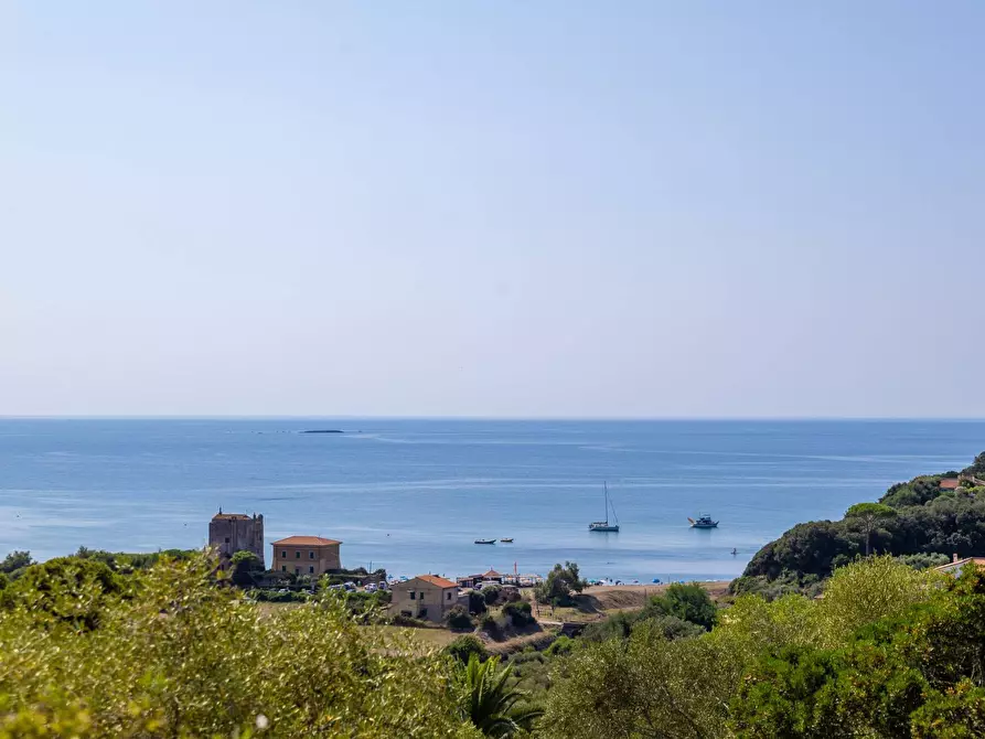 Immagine 36 di Villa in affitto  in via del lentisco a Orbetello