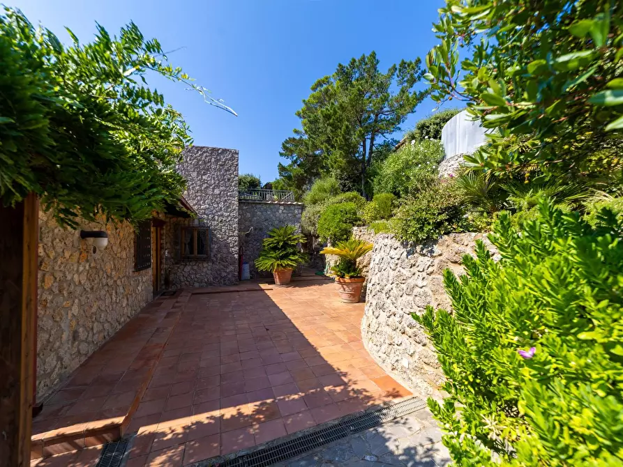 Immagine 38 di Villa in affitto  in via del lentisco a Orbetello