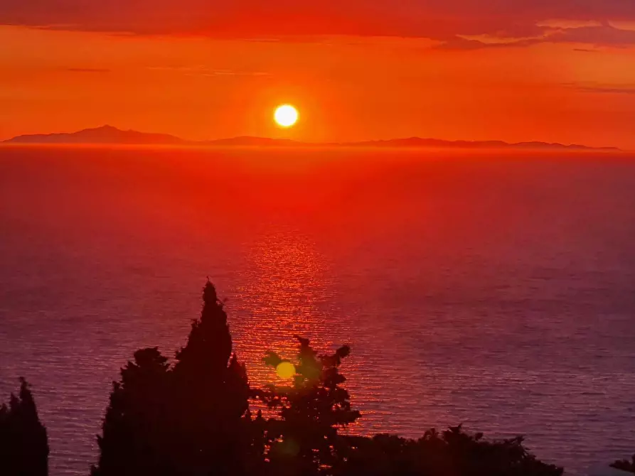 Immagine 47 di Villa in affitto  in via panoramica a Monte Argentario