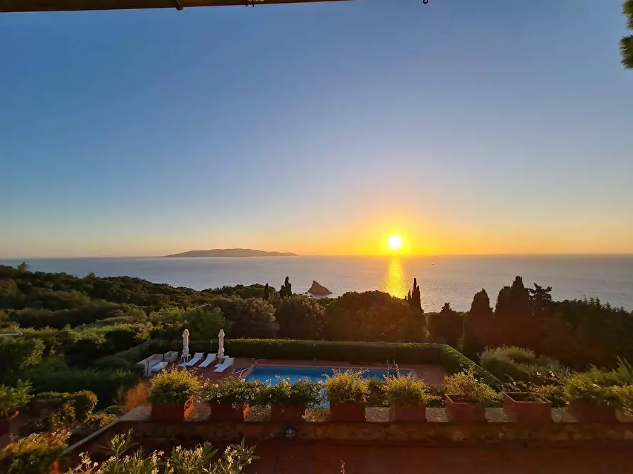 Immagine 49 di Villa in affitto  in via panoramica a Monte Argentario