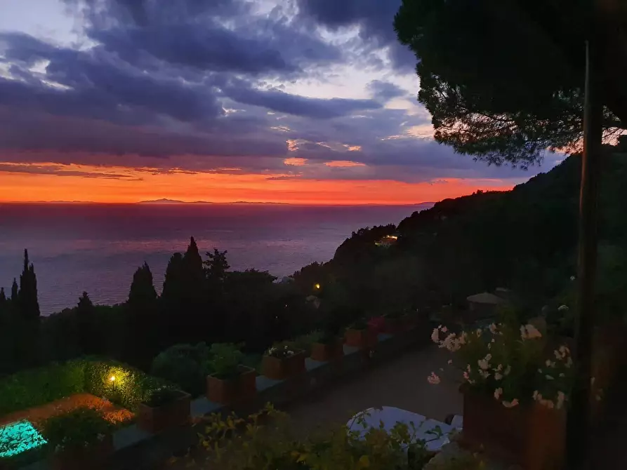 Immagine 50 di Villa in affitto  in via panoramica a Monte Argentario