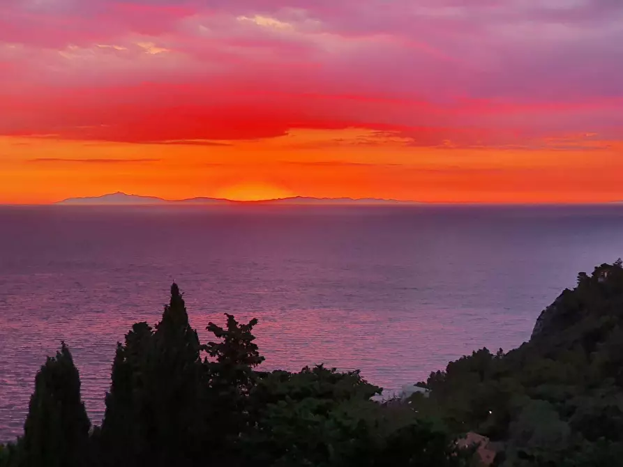 Immagine 52 di Villa in affitto  in via panoramica a Monte Argentario