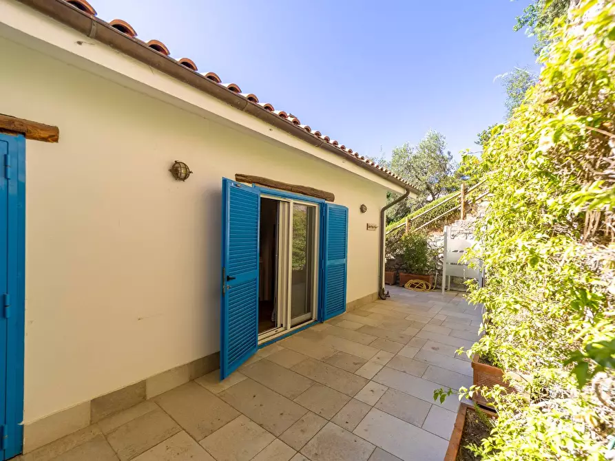 Immagine 21 di Villa in vendita  in Località Poggio Pertuso a Monte Argentario