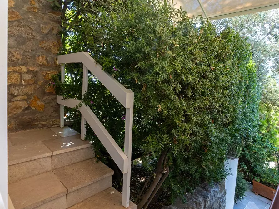 Immagine 37 di Villa in vendita  in Località Poggio Pertuso a Monte Argentario