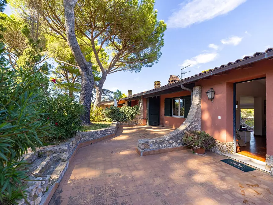 Immagine 24 di Casa semindipendente in vendita  in Via del sole snc a Monte Argentario