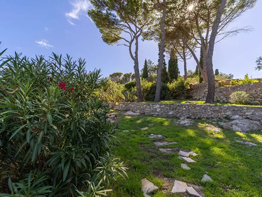 Immagine 9 di Casa semindipendente in vendita  in Via del sole snc a Monte Argentario