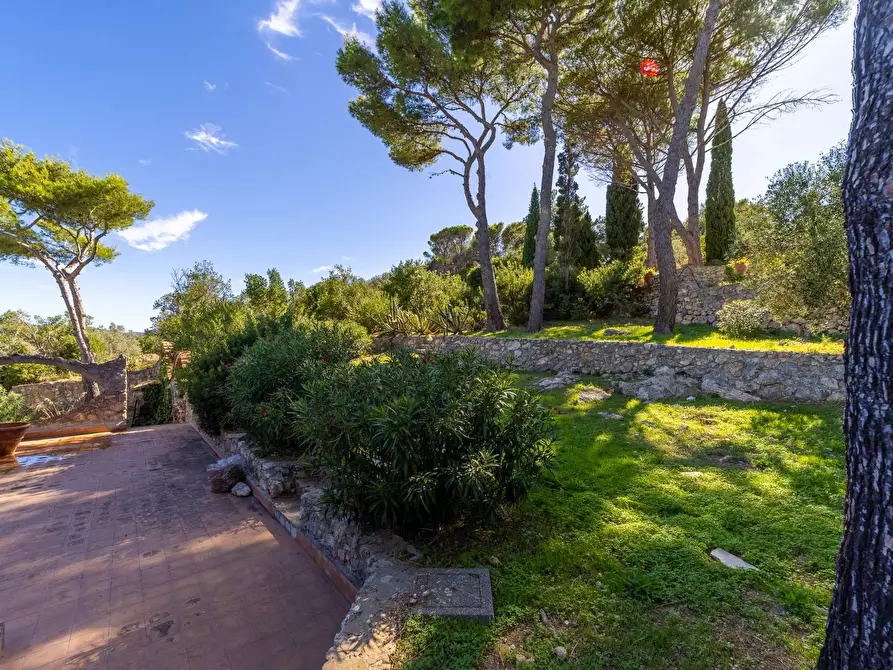 Immagine 25 di Casa semindipendente in vendita  in Via del sole snc a Monte Argentario
