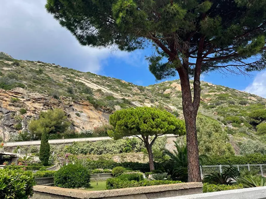 Immagine 23 di Appartamento in vendita  in Via delle Cannelle snc a Isola Del Giglio