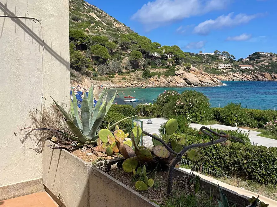 Immagine 22 di Appartamento in vendita  in Via delle Cannelle snc a Isola Del Giglio