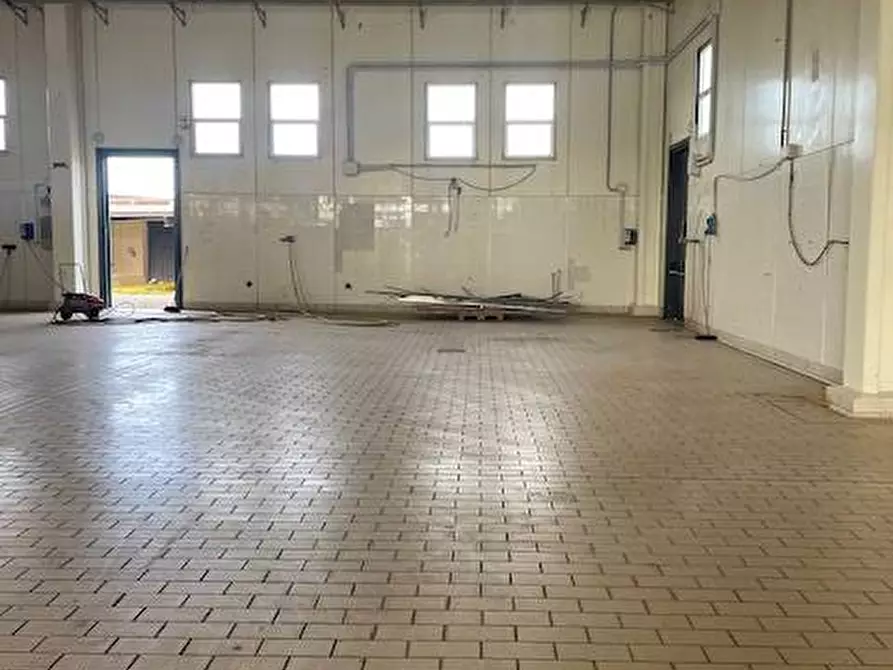 Immagine 6 di Attività commerciale in vendita  in Strada Aurelia 41 a Capalbio