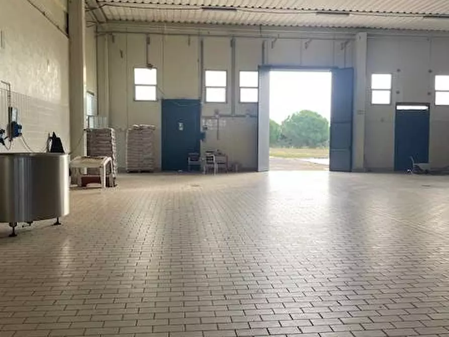 Immagine 7 di Attività commerciale in vendita  in Strada Aurelia 41 a Capalbio