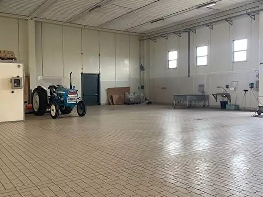 Immagine 8 di Attività commerciale in vendita  in Strada Aurelia 41 a Capalbio