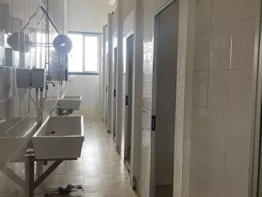 Immagine 13 di Attività commerciale in vendita  in Strada Aurelia 41 a Capalbio