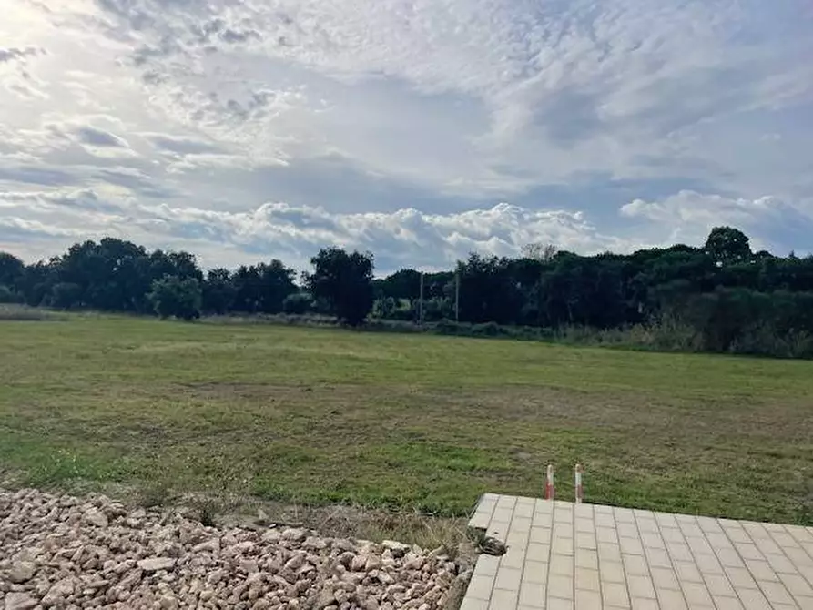 Immagine 21 di Attività commerciale in vendita  in Strada Aurelia 41 a Capalbio