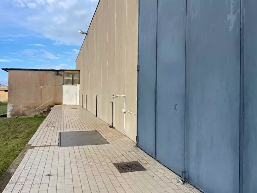 Immagine 3 di Attività commerciale in vendita  in Strada Aurelia 41 a Capalbio