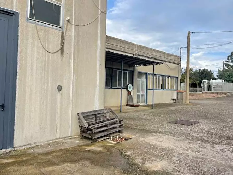 Immagine 23 di Attività commerciale in vendita  in Strada Aurelia 41 a Capalbio