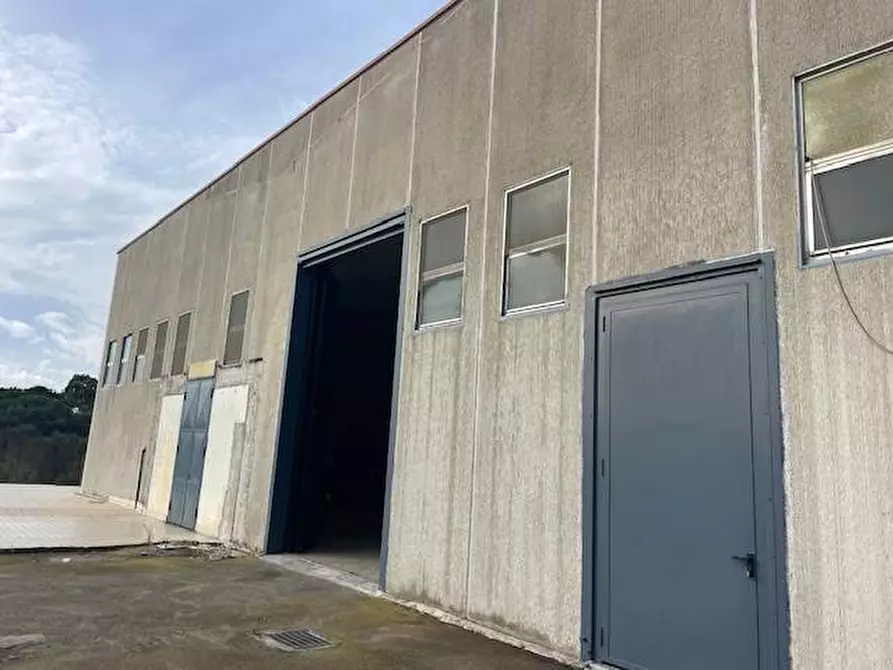 Immagine 2 di Attività commerciale in vendita  in Strada Aurelia 41 a Capalbio