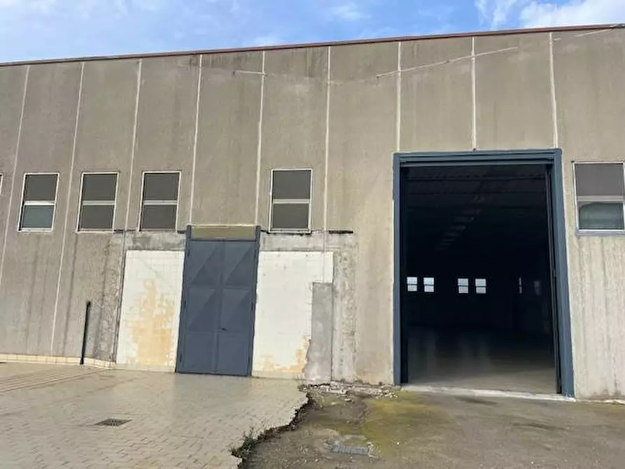 Immagine 5 di Attività commerciale in vendita  in Strada Aurelia 41 a Capalbio