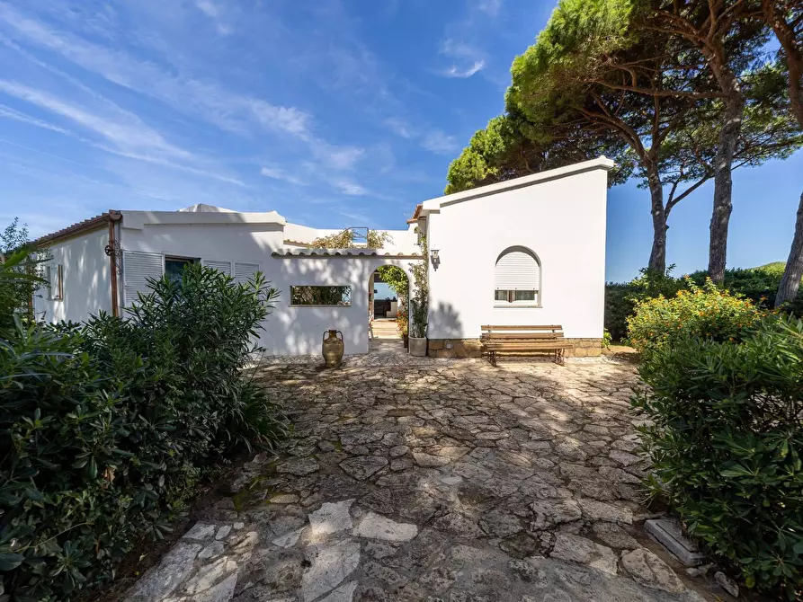 Immagine 8 di Villa in affitto  in Strada Provinciale della Giannella 191 a Orbetello