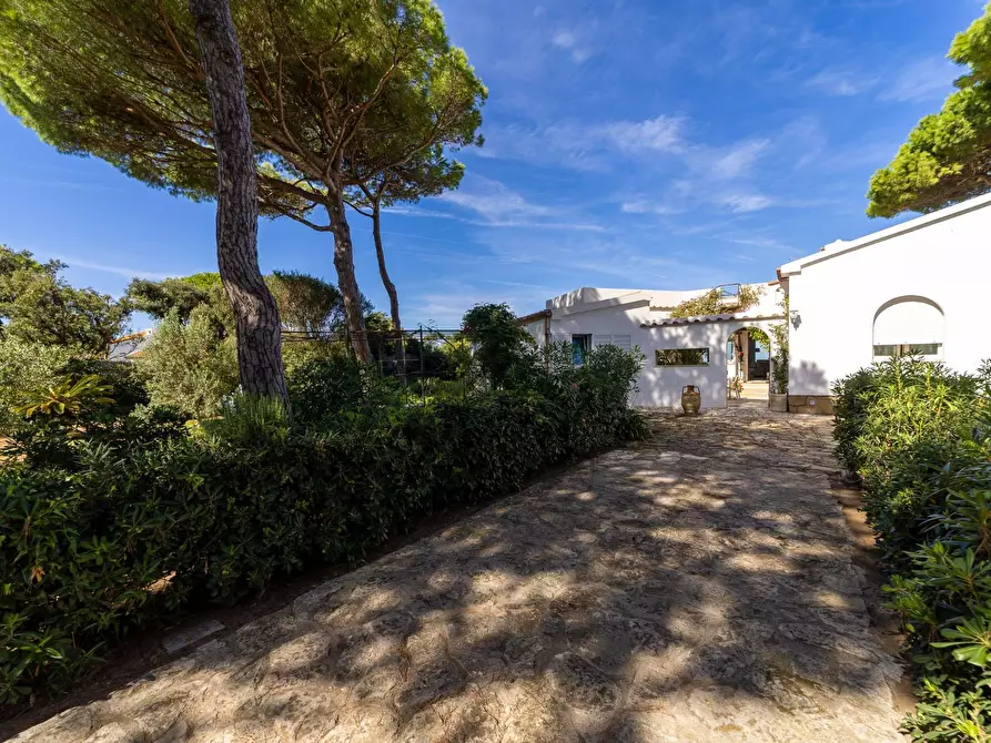 Immagine 34 di Villa in affitto  in Strada Provinciale della Giannella 191 a Orbetello