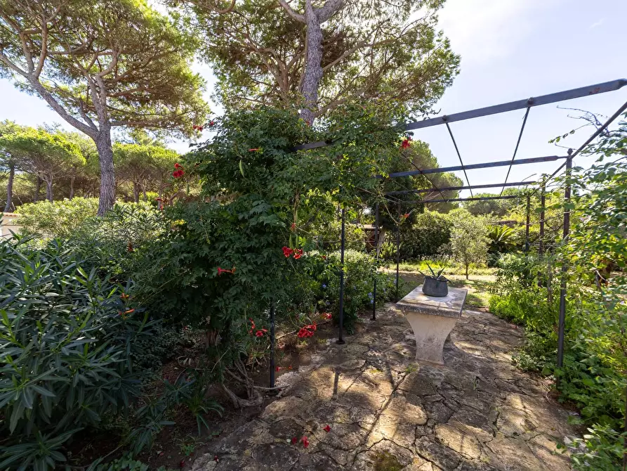 Immagine 35 di Villa in affitto  in Strada Provinciale della Giannella 191 a Orbetello