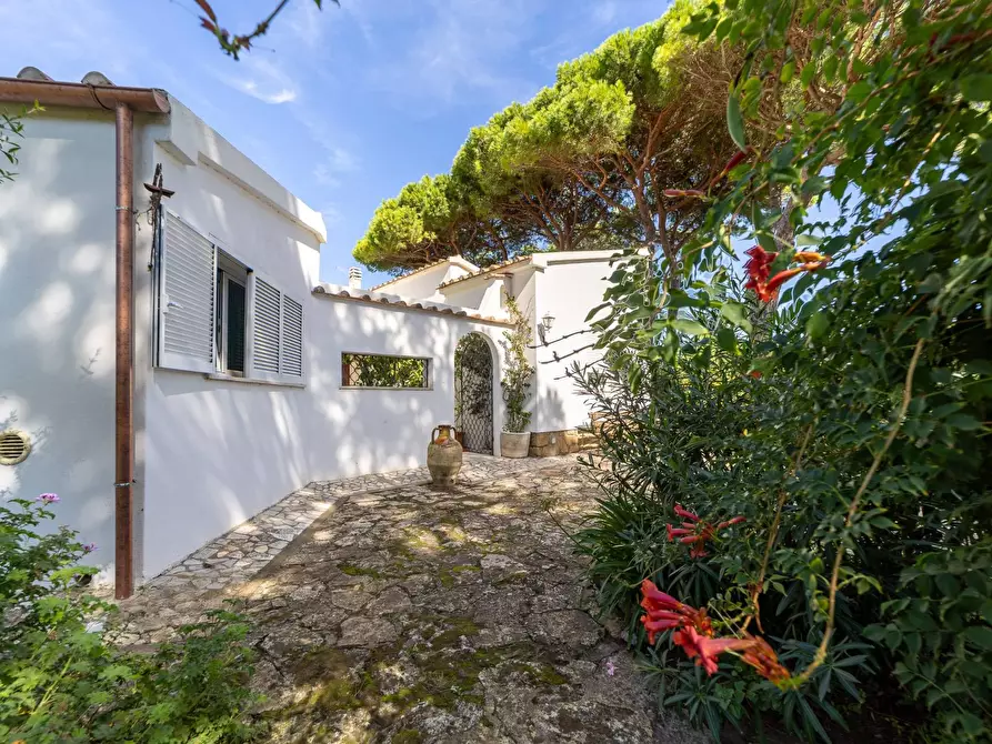 Immagine 36 di Villa in affitto  in Strada Provinciale della Giannella 191 a Orbetello