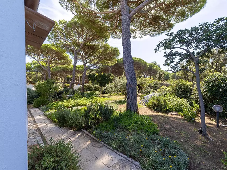 Immagine 37 di Villa in affitto  in Strada Provinciale della Giannella 191 a Orbetello