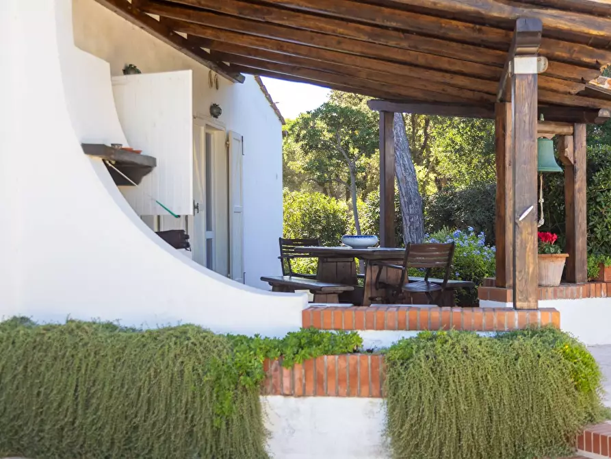 Immagine 40 di Villa in affitto  in Strada Provinciale della Giannella 191 a Orbetello