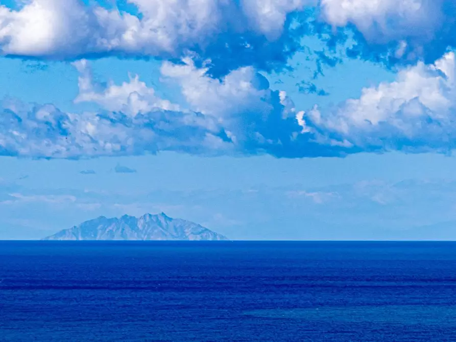 Immagine 61 di Villa in affitto  in via lividonia a Monte Argentario