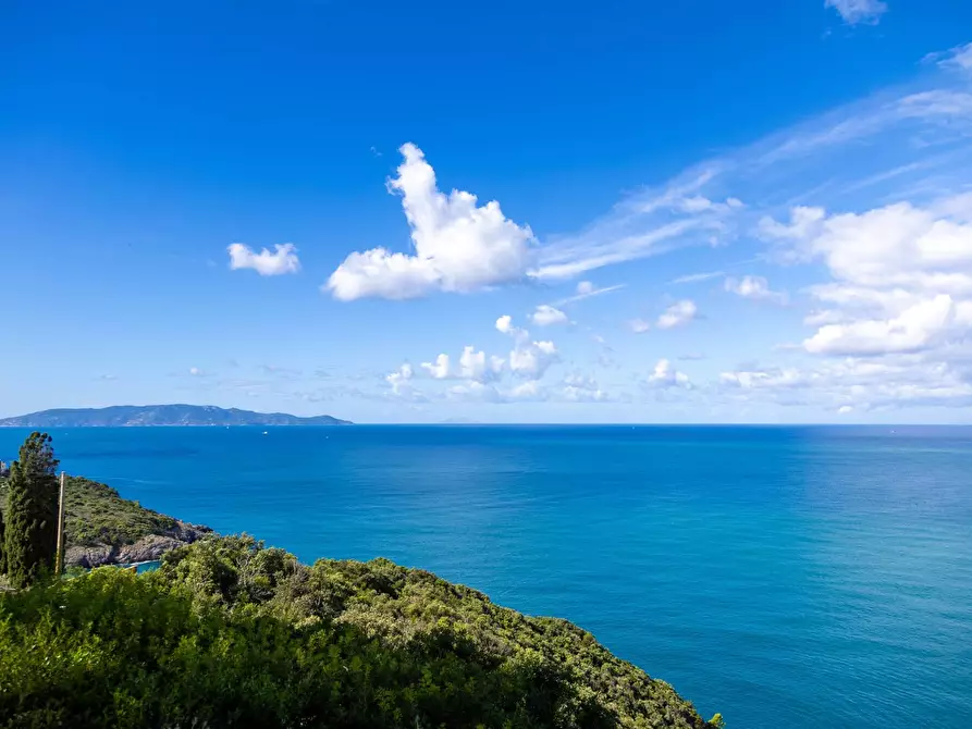 Immagine 10 di Villa in affitto  in via lividonia a Monte Argentario