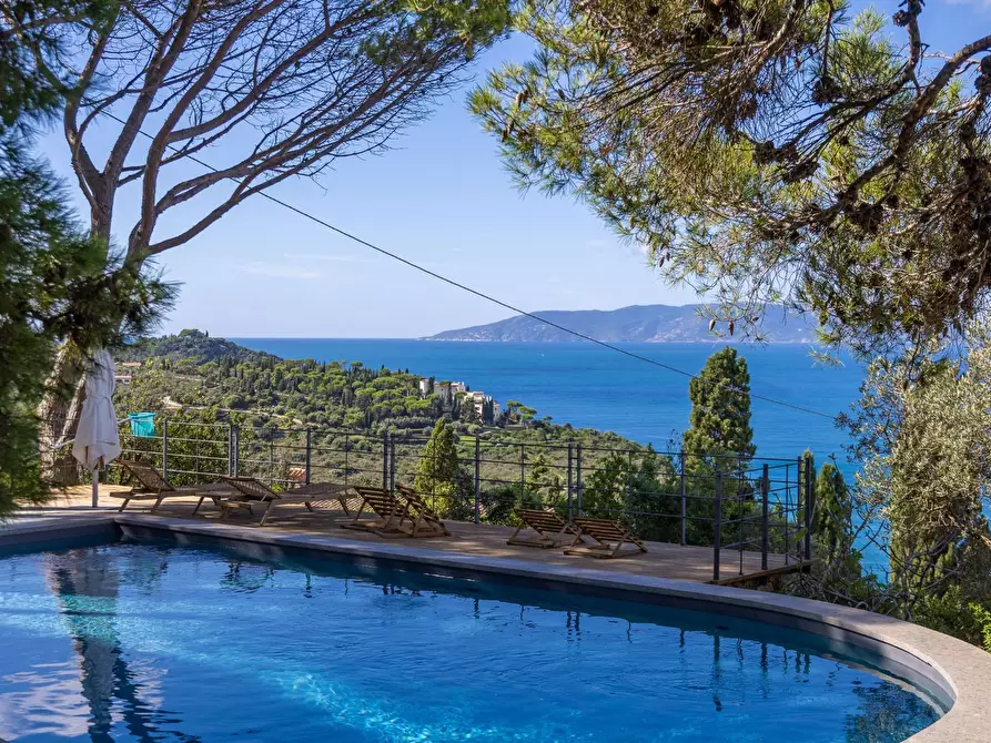 Immagine 11 di Villa in affitto  in via lividonia a Monte Argentario