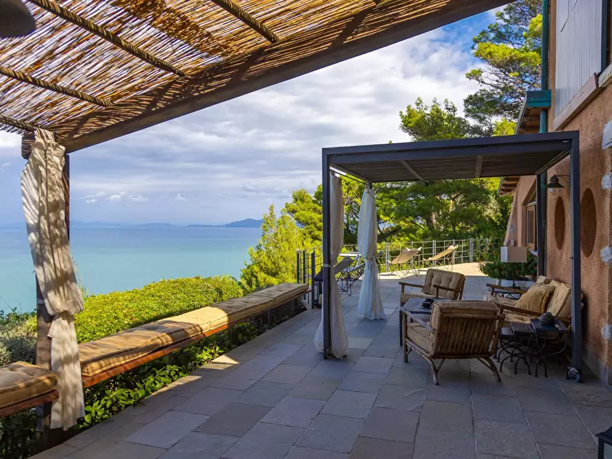 Immagine 7 di Villa in affitto  in via lividonia a Monte Argentario