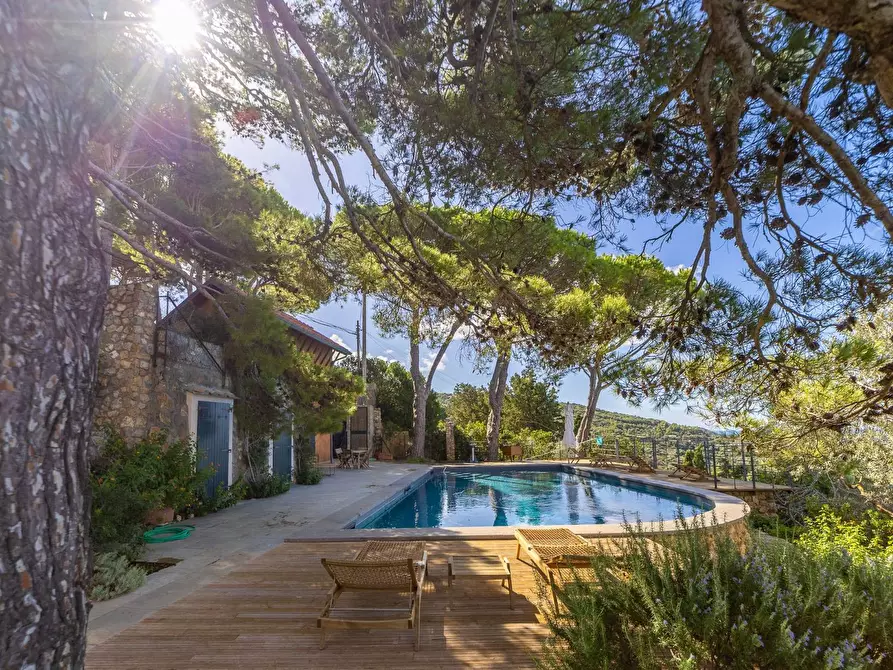 Immagine 13 di Villa in affitto  in via lividonia a Monte Argentario