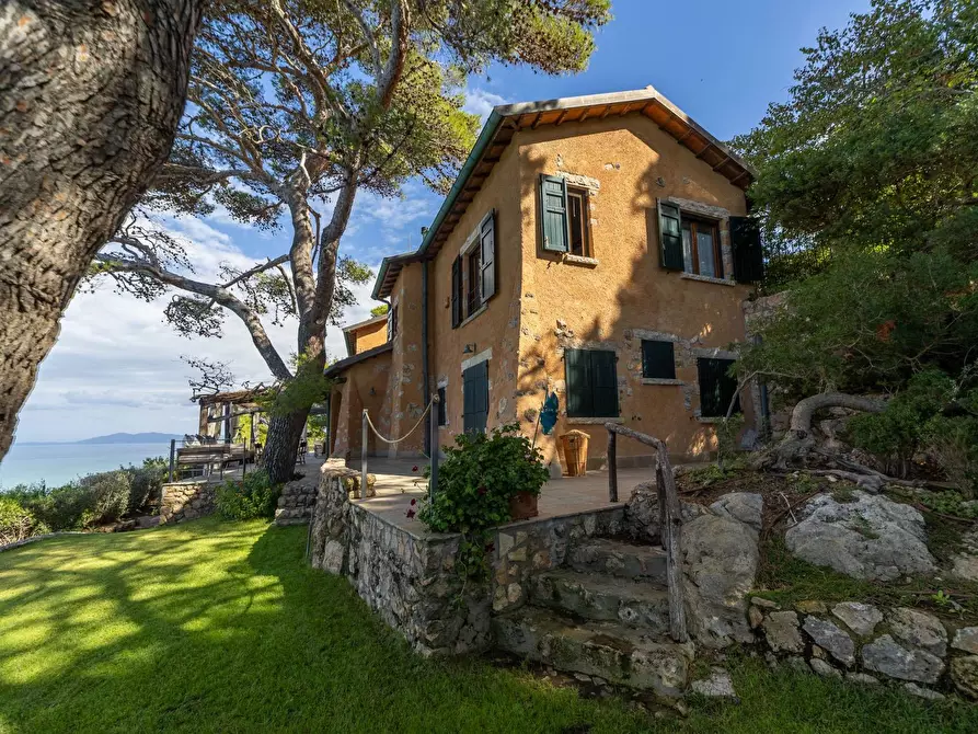 Immagine 2 di Villa in affitto  in via lividonia a Monte Argentario