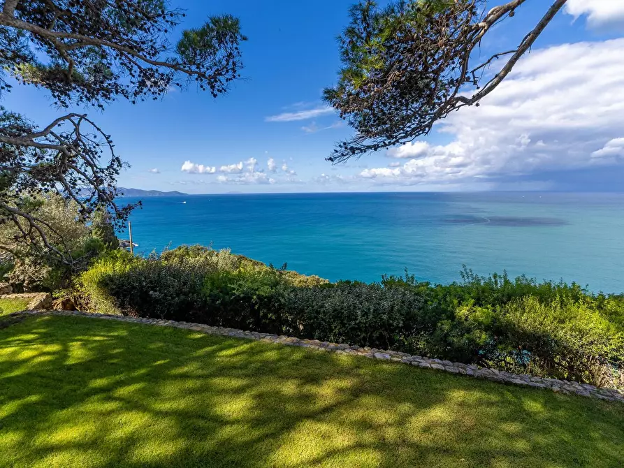 Immagine 51 di Villa in affitto  in via lividonia a Monte Argentario