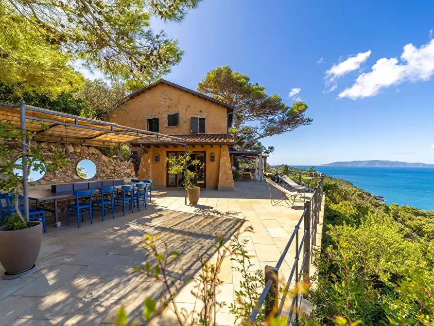 Immagine 9 di Villa in affitto  in via lividonia a Monte Argentario