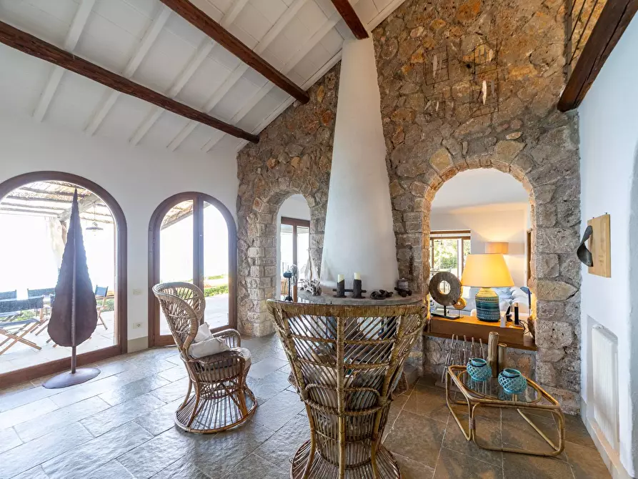 Immagine 21 di Villa in affitto  in via lividonia a Monte Argentario