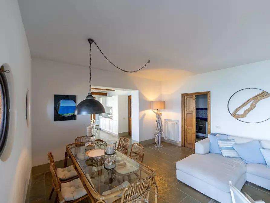 Immagine 28 di Villa in affitto  in via lividonia a Monte Argentario