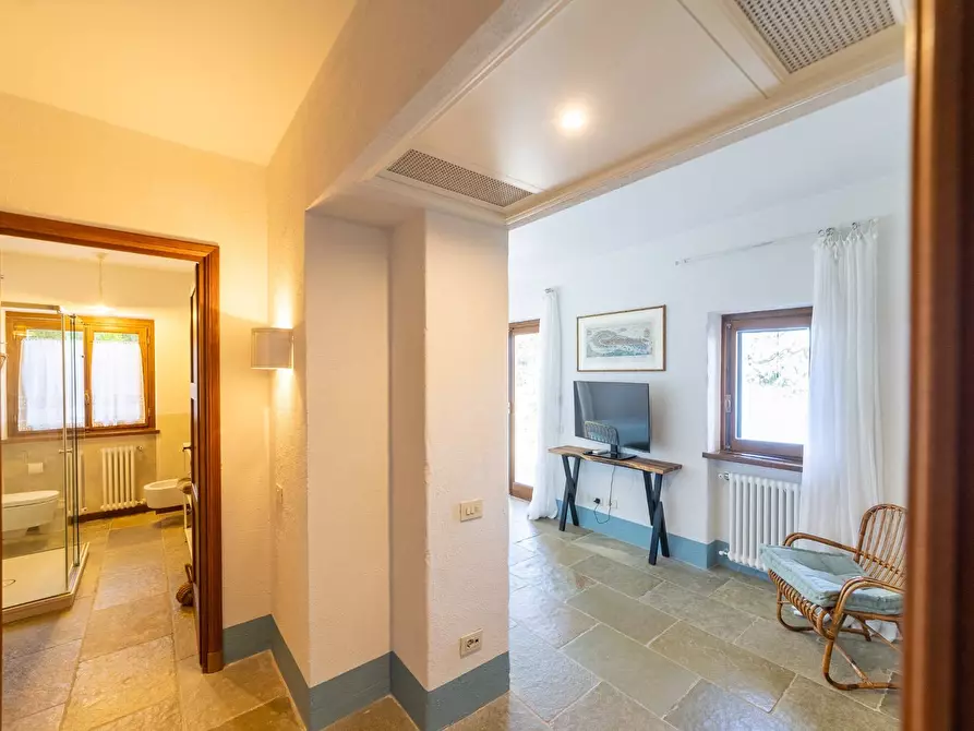 Immagine 42 di Villa in affitto  in via lividonia a Monte Argentario