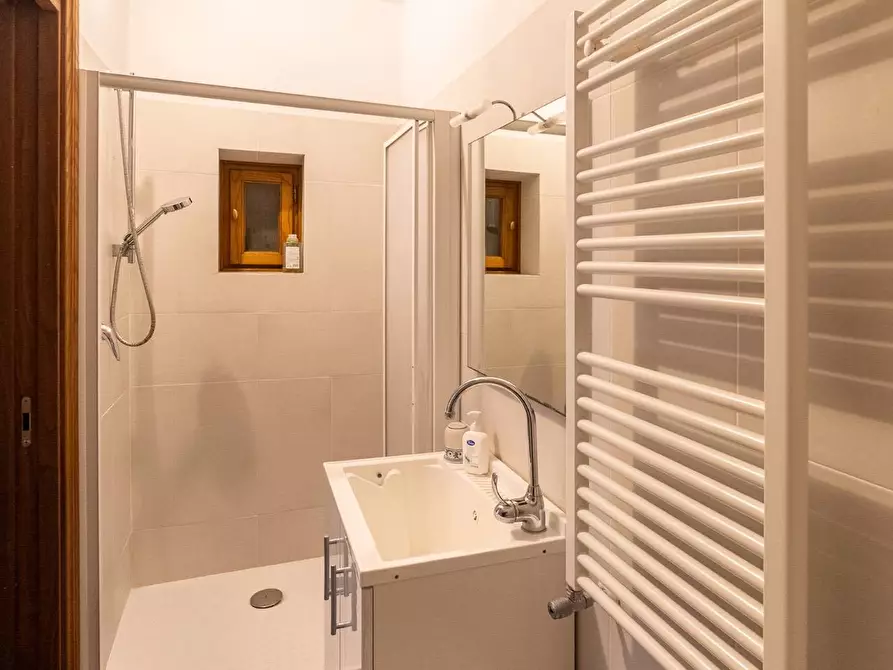 Immagine 44 di Villa in affitto  in via lividonia a Monte Argentario