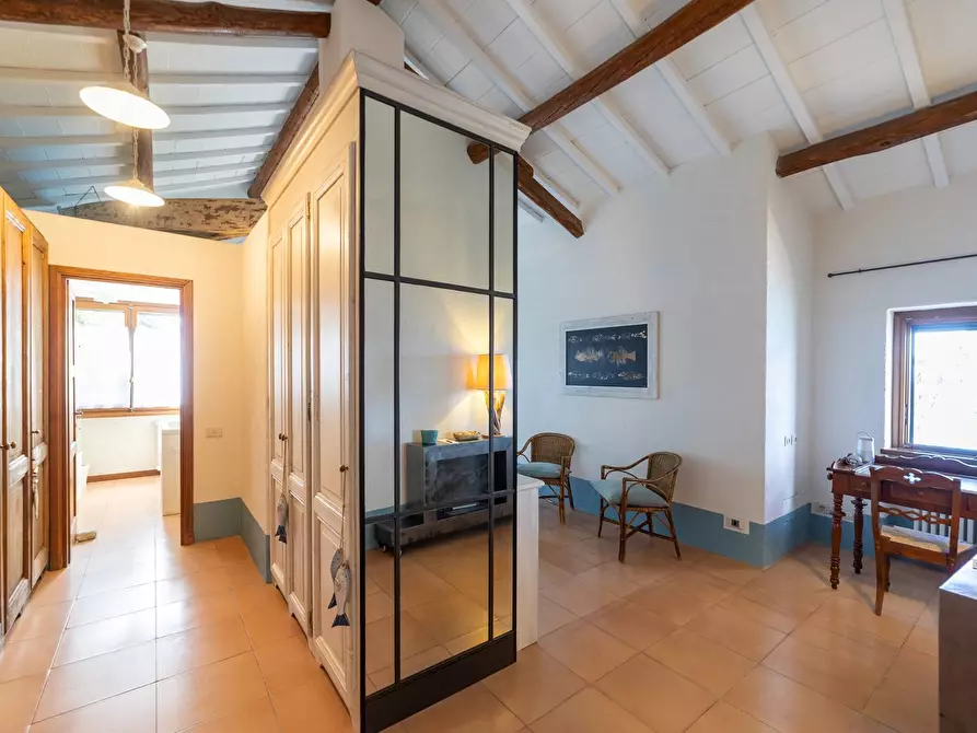 Immagine 45 di Villa in affitto  in via lividonia a Monte Argentario