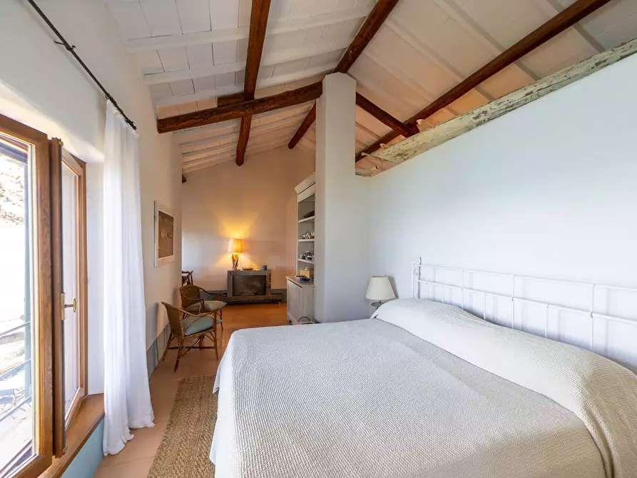 Immagine 48 di Villa in affitto  in via lividonia a Monte Argentario