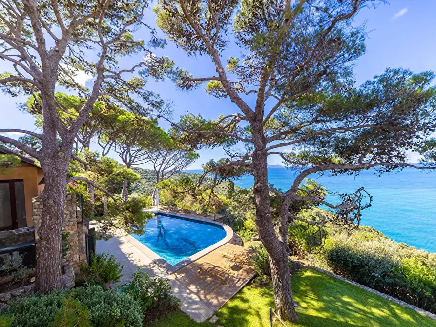 Immagine 62 di Villa in affitto  in via lividonia a Monte Argentario