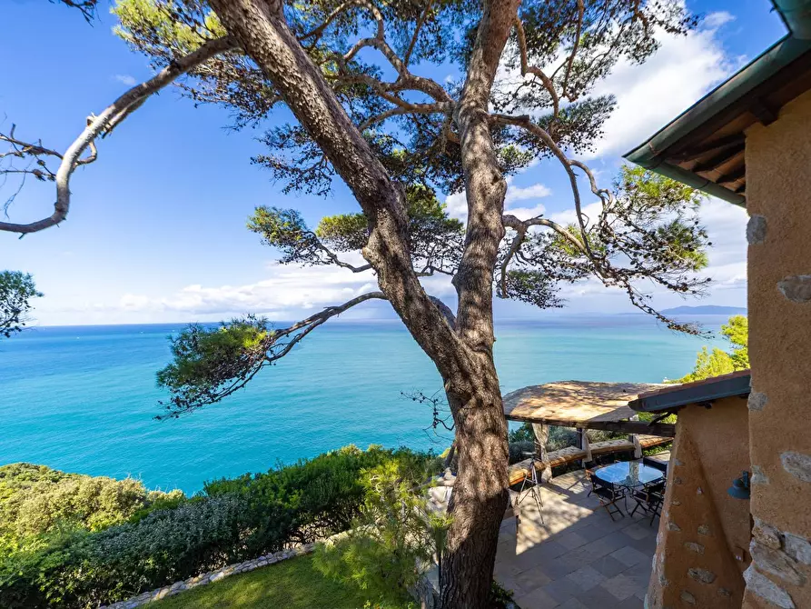 Immagine 63 di Villa in affitto  in via lividonia a Monte Argentario