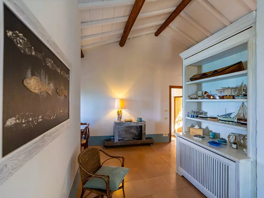 Immagine 49 di Villa in affitto  in via lividonia a Monte Argentario