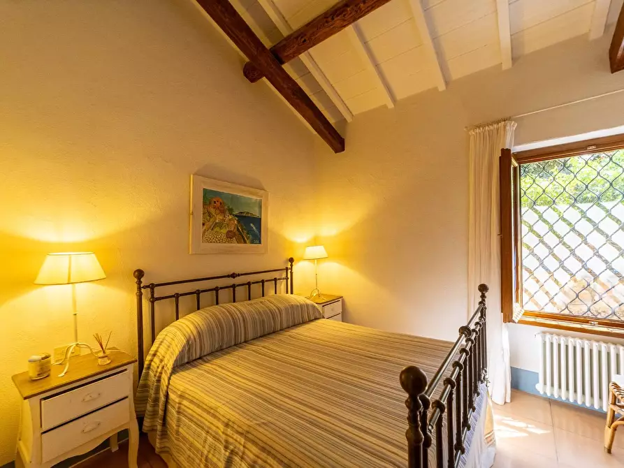 Immagine 46 di Villa in affitto  in via lividonia a Monte Argentario
